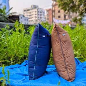 2 টি শিমুল তুলার বালিশ